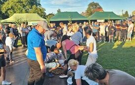 379922439_659626702924530_8692760014771546264_n