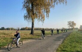 Zdjęcie WhatsApp 2024-10-28 o 08.13.16_f3b9acd5