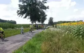 528237520_1247814309975071_1734101388131488598_n