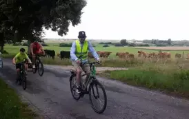 528226967_1269090704892915_5118256540195820986_n