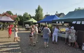 Zdjęcie WhatsApp 2025-08-18 o 09.12.27_f7d1d670