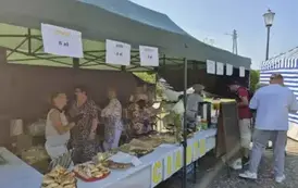 Zdjęcie WhatsApp 2025-08-18 o 09.12.24_c7b6d245