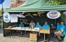 Zdjęcie WhatsApp 2025-08-18 o 09.12.22_4c76ab49