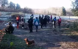 589472951_1345829959899615_3925967698502056408_n